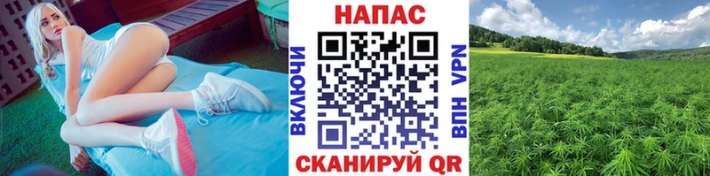 Продажа наркотиков Спасск-Дальний Гашиш  Alpha PVP  Мефедрон  Канабис  kraken онион  COCAIN  АМФЕТАМИН 
